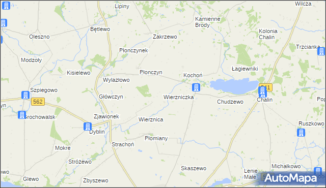 mapa Wierzniczka, Wierzniczka na mapie Targeo