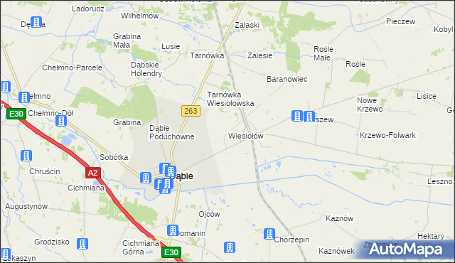 mapa Wiesiołów gmina Dąbie, Wiesiołów gmina Dąbie na mapie Targeo