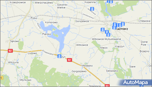 mapa Witkowice gmina Kaźmierz, Witkowice gmina Kaźmierz na mapie Targeo