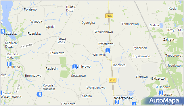 mapa Witkowice gmina Wierzbinek, Witkowice gmina Wierzbinek na mapie Targeo