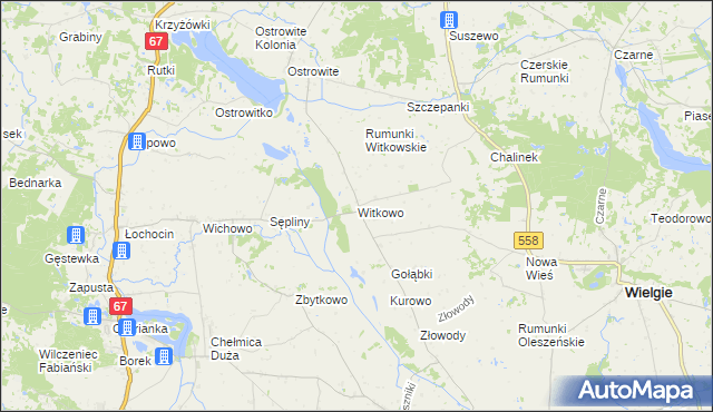 mapa Witkowo gmina Wielgie, Witkowo gmina Wielgie na mapie Targeo