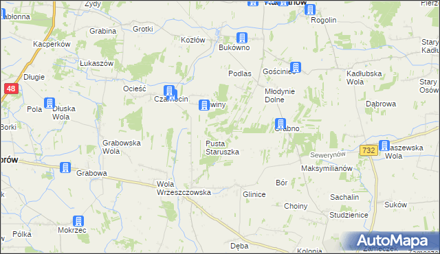 mapa Witoldów gmina Przytyk, Witoldów gmina Przytyk na mapie Targeo