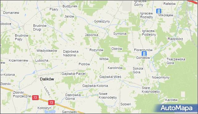 mapa Witów gmina Dalików, Witów gmina Dalików na mapie Targeo