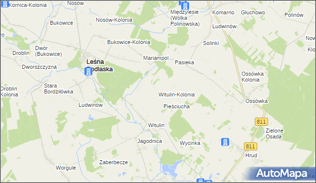 mapa Witulin-Kolonia, Witulin-Kolonia na mapie Targeo