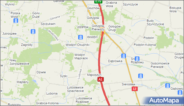 mapa Wodzinek gmina Tuszyn, Wodzinek gmina Tuszyn na mapie Targeo