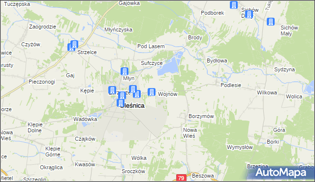 mapa Wojnów gmina Oleśnica, Wojnów gmina Oleśnica na mapie Targeo