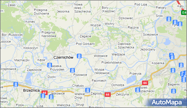 mapa Wołowice, Wołowice na mapie Targeo