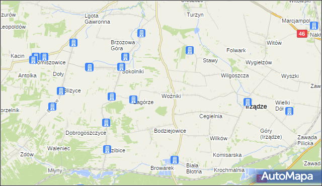 mapa Woźniki gmina Irządze, Woźniki gmina Irządze na mapie Targeo