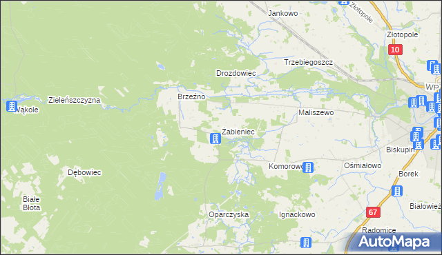 mapa Żabieniec gmina Lipno, Żabieniec gmina Lipno na mapie Targeo