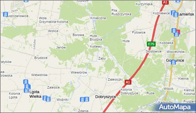 mapa Żaby gmina Dobryszyce, Żaby gmina Dobryszyce na mapie Targeo