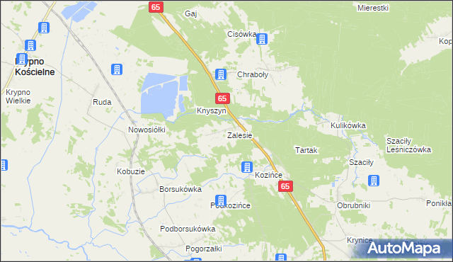 mapa Zalesie gmina Dobrzyniewo Duże, Zalesie gmina Dobrzyniewo Duże na mapie Targeo