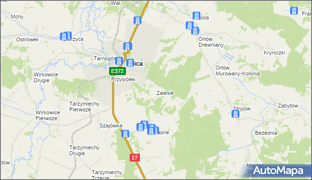 mapa Zalesie gmina Izbica, Zalesie gmina Izbica na mapie Targeo