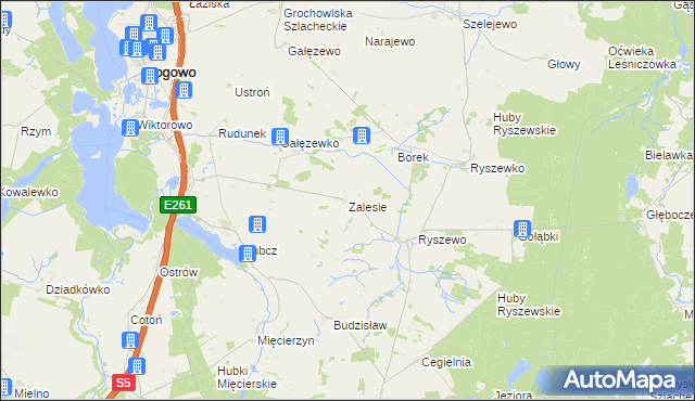 mapa Zalesie gmina Rogowo, Zalesie gmina Rogowo na mapie Targeo