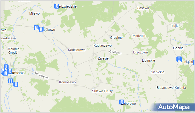 mapa Zalesie gmina Wąsosz, Zalesie gmina Wąsosz na mapie Targeo