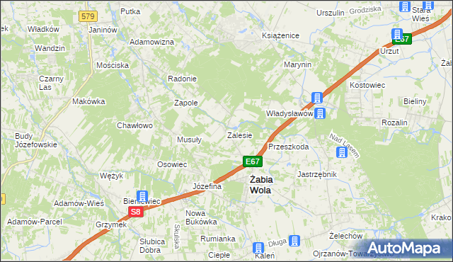 mapa Zalesie gmina Żabia Wola, Zalesie gmina Żabia Wola na mapie Targeo