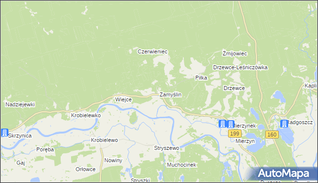 mapa Zamyślin gmina Międzychód, Zamyślin gmina Międzychód na mapie Targeo