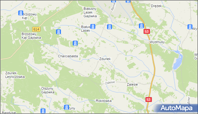 mapa Zdunek, Zdunek na mapie Targeo