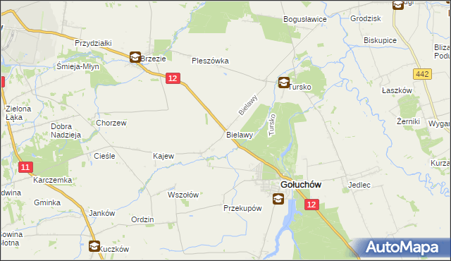 mapa Bielawy gmina Gołuchów, Bielawy gmina Gołuchów na mapie Targeo