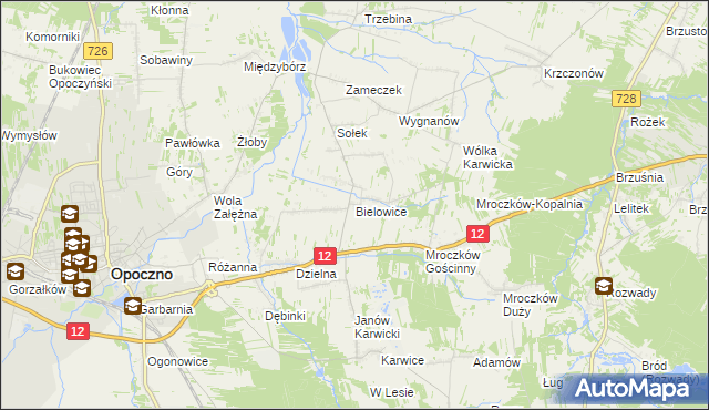 mapa Bielowice gmina Opoczno, Bielowice gmina Opoczno na mapie Targeo