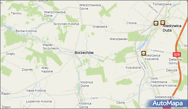 mapa Borzechów-Kolonia, Borzechów-Kolonia na mapie Targeo