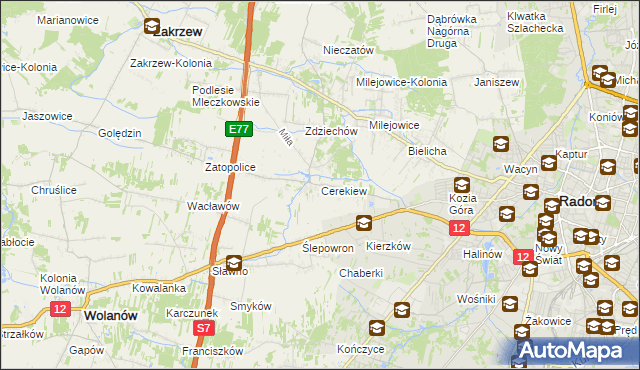 mapa Cerekiew gmina Zakrzew, Cerekiew gmina Zakrzew na mapie Targeo