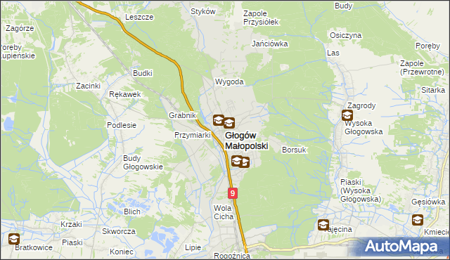 mapa Głogów Małopolski, Głogów Małopolski na mapie Targeo