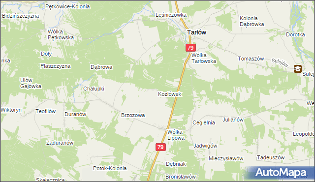 mapa Kozłówek gmina Tarłów, Kozłówek gmina Tarłów na mapie Targeo