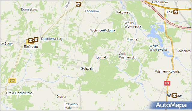 mapa Lipniak gmina Wiśniew, Lipniak gmina Wiśniew na mapie Targeo