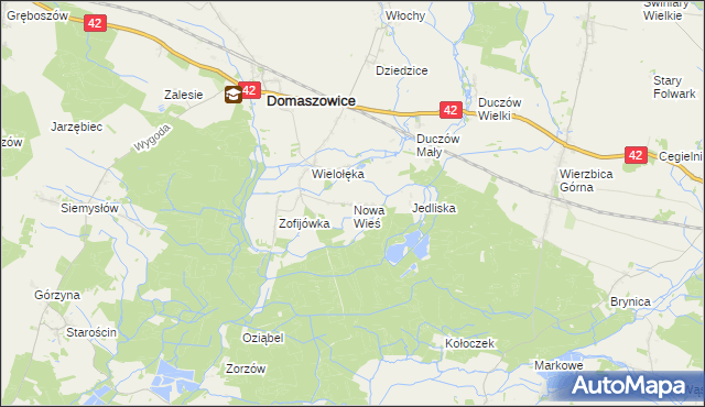 mapa Nowa Wieś gmina Domaszowice, Nowa Wieś gmina Domaszowice na mapie Targeo