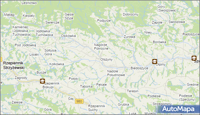 mapa Olszyny gmina Rzepiennik Strzyżewski, Olszyny gmina Rzepiennik Strzyżewski na mapie Targeo