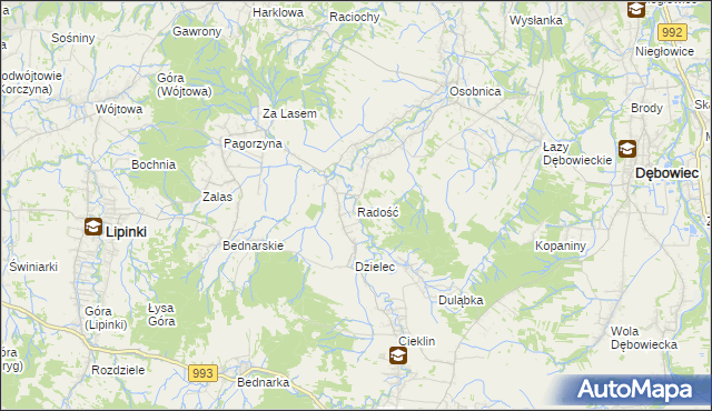 mapa Radość gmina Dębowiec, Radość gmina Dębowiec na mapie Targeo
