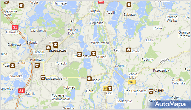 mapa Skidziń, Skidziń na mapie Targeo