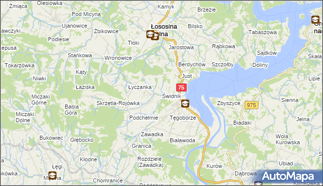 mapa Świdnik gmina Łososina Dolna, Świdnik gmina Łososina Dolna na mapie Targeo