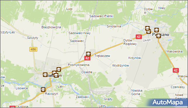 mapa Trębaczew gmina Działoszyn, Trębaczew gmina Działoszyn na mapie Targeo