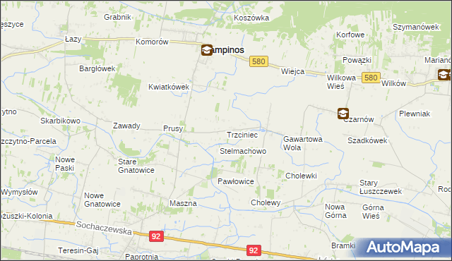 mapa Trzciniec gmina Leszno, Trzciniec gmina Leszno na mapie Targeo