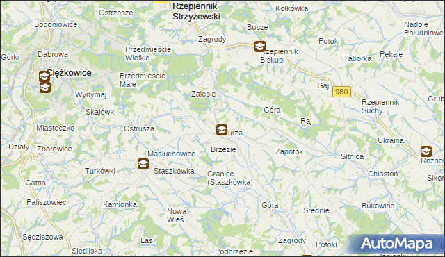 mapa Turza gmina Rzepiennik Strzyżewski, Turza gmina Rzepiennik Strzyżewski na mapie Targeo