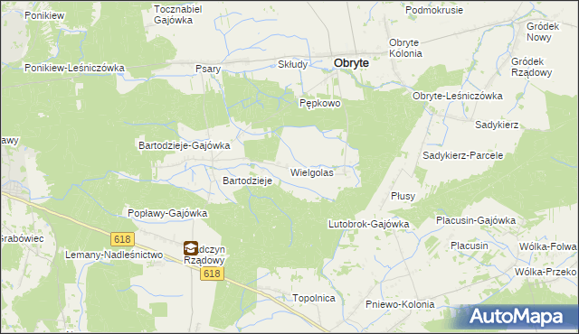 mapa Wielgolas gmina Obryte, Wielgolas gmina Obryte na mapie Targeo