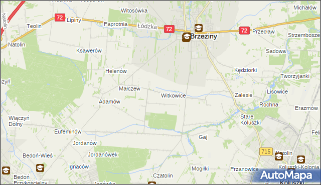 mapa Witkowice gmina Brzeziny, Witkowice gmina Brzeziny na mapie Targeo