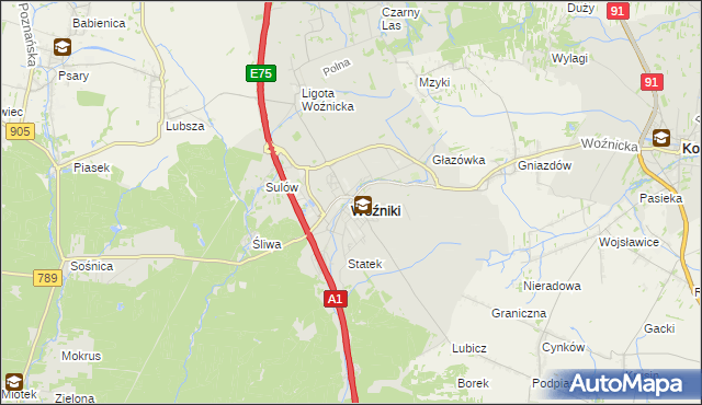 mapa Woźniki powiat lubliniecki, Woźniki powiat lubliniecki na mapie Targeo