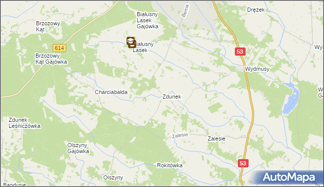 mapa Zdunek, Zdunek na mapie Targeo