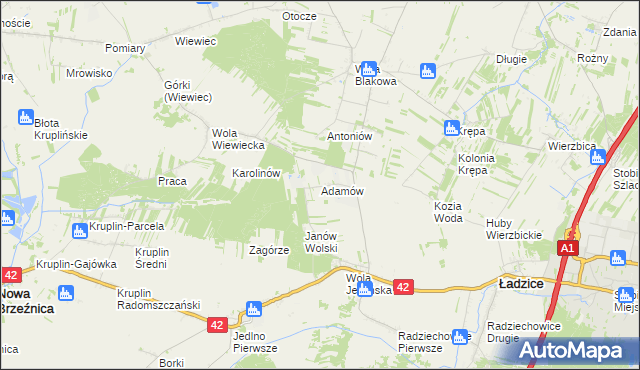 mapa Adamów gmina Ładzice, Adamów gmina Ładzice na mapie Targeo