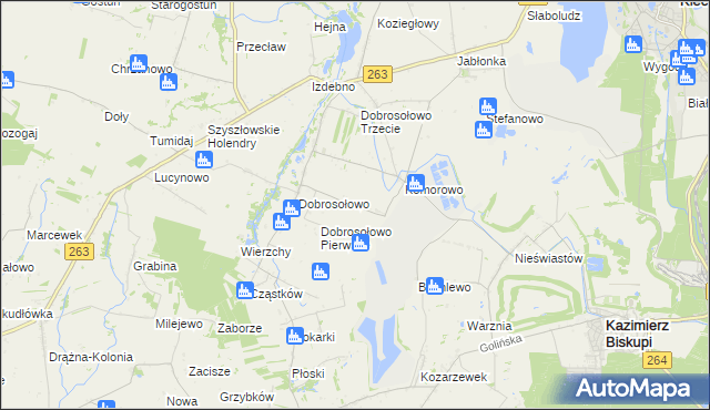 mapa Anielewo gmina Kazimierz Biskupi, Anielewo gmina Kazimierz Biskupi na mapie Targeo