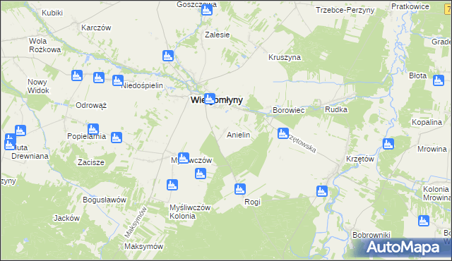 mapa Anielin gmina Wielgomłyny, Anielin gmina Wielgomłyny na mapie Targeo