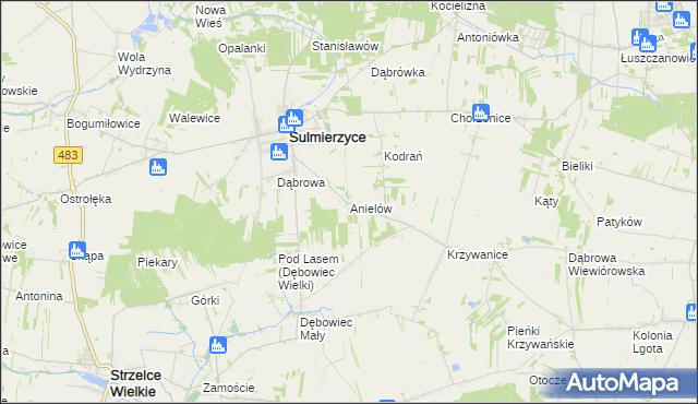 mapa Anielów gmina Sulmierzyce, Anielów gmina Sulmierzyce na mapie Targeo