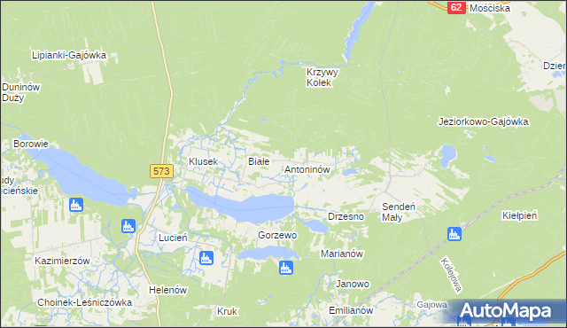 mapa Antoninów gmina Gostynin, Antoninów gmina Gostynin na mapie Targeo