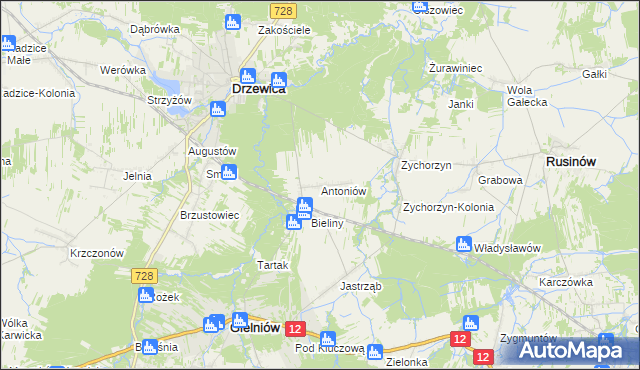 mapa Antoniów gmina Gielniów, Antoniów gmina Gielniów na mapie Targeo