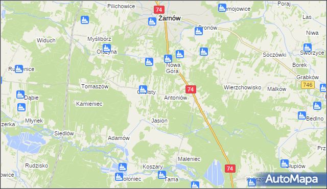 mapa Antoniów gmina Żarnów, Antoniów gmina Żarnów na mapie Targeo