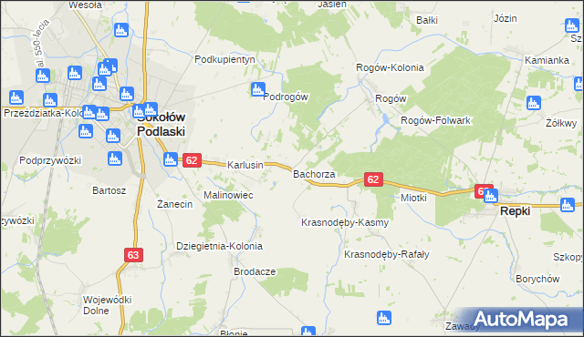 mapa Bachorza gmina Sokołów Podlaski, Bachorza gmina Sokołów Podlaski na mapie Targeo