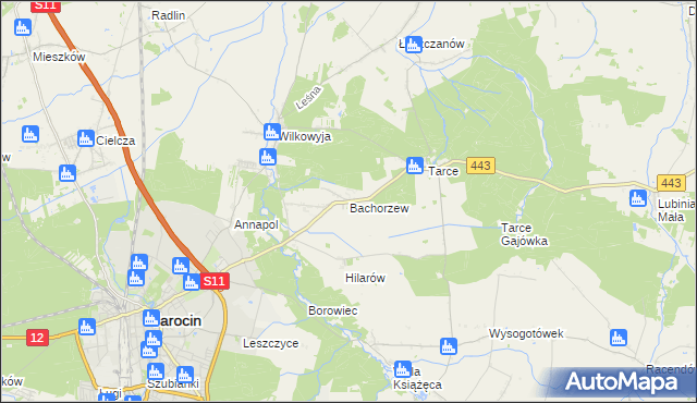 mapa Bachorzew, Bachorzew na mapie Targeo