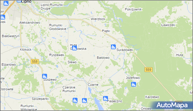 mapa Bałdowo gmina Wielgie, Bałdowo gmina Wielgie na mapie Targeo